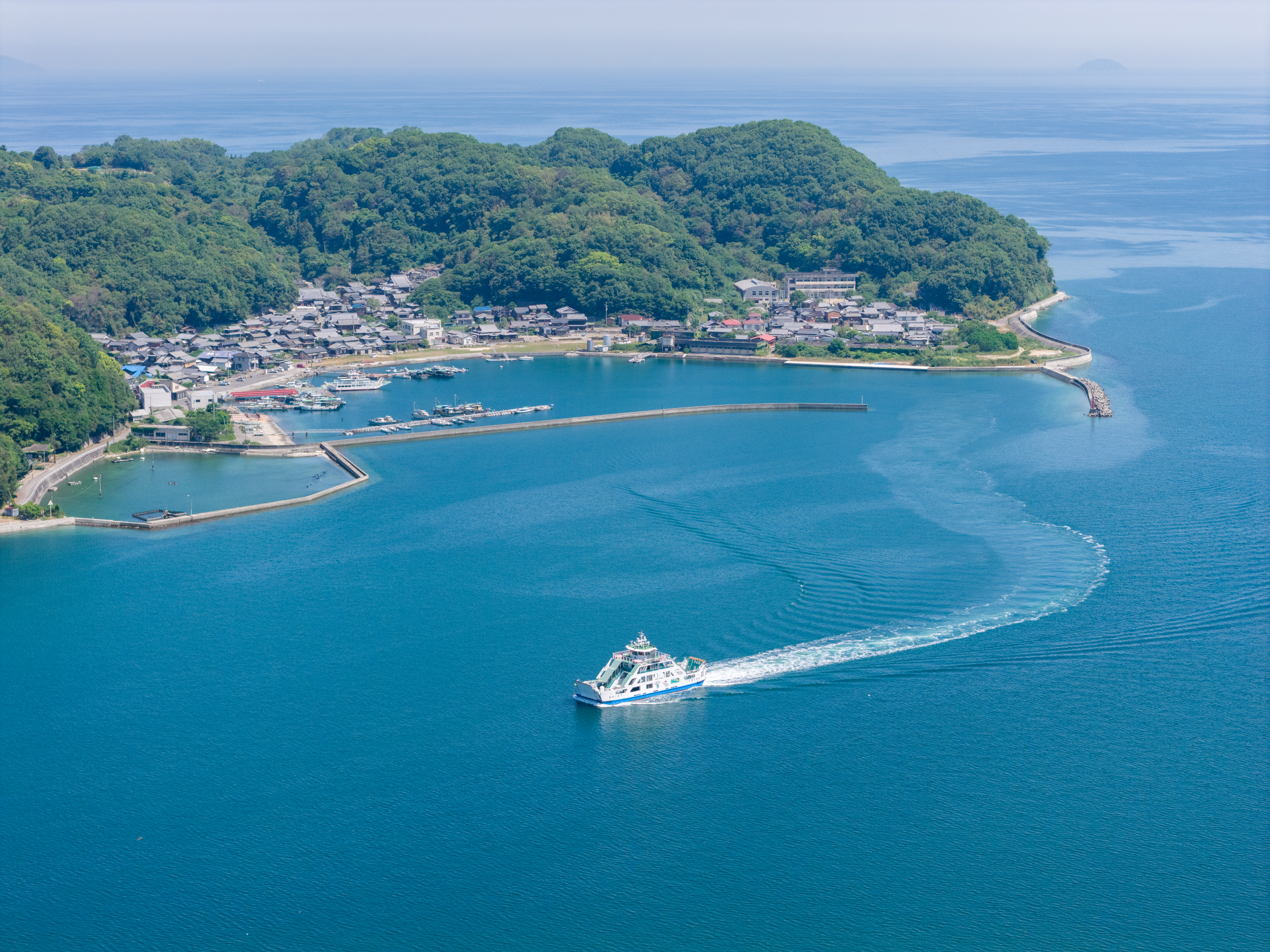 新居大島