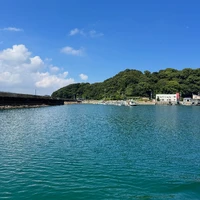 画像276