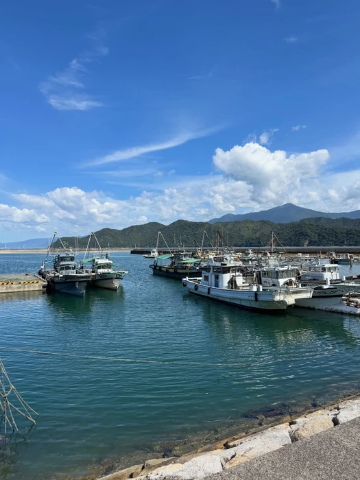 画像280