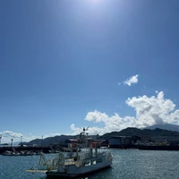画像283