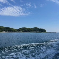 画像284
