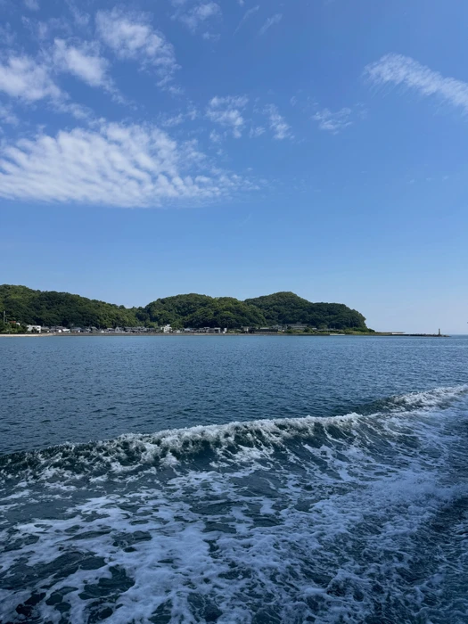 画像284