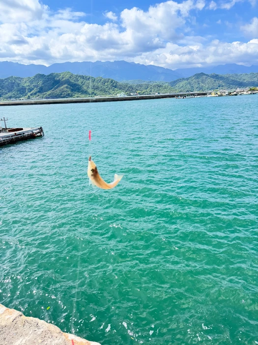 画像285