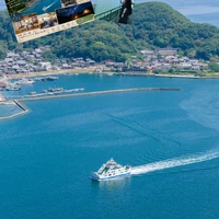 画像290