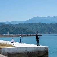 画像295