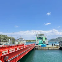 画像298