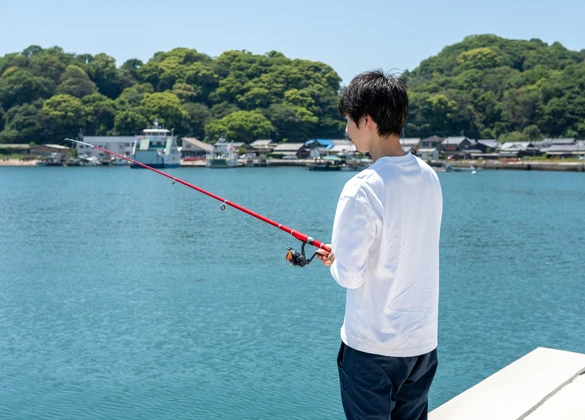 AdobeStock_71725339